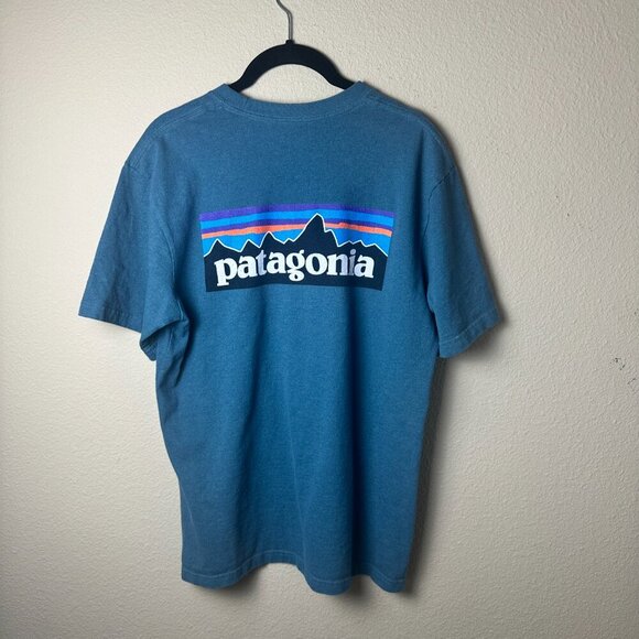 PATAGONIA Teal Regular Fit Classic Logo Tee T Shirt Size Small - Picture 3 of 7